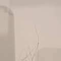 2025-04-14-stick